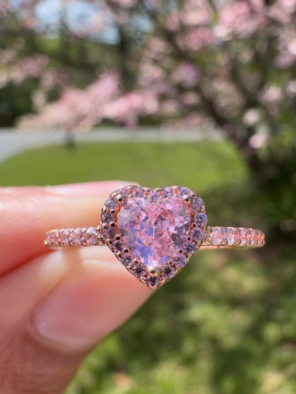 pandora ring